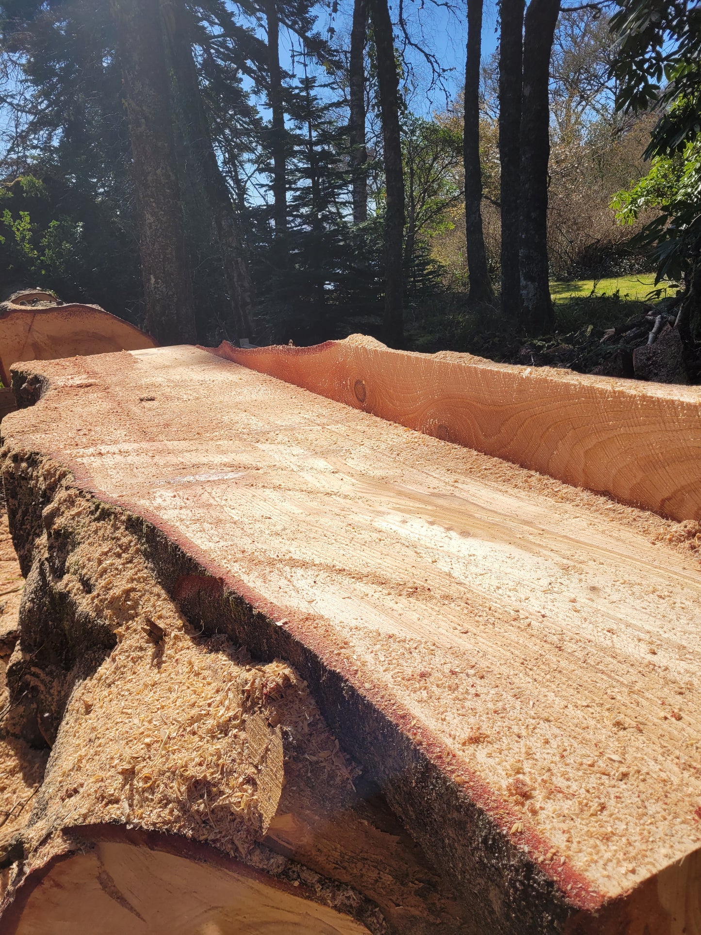 Mobile Sawmilling