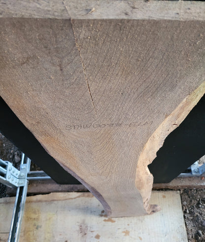 STHW0022 - Air Dried Elm Slab