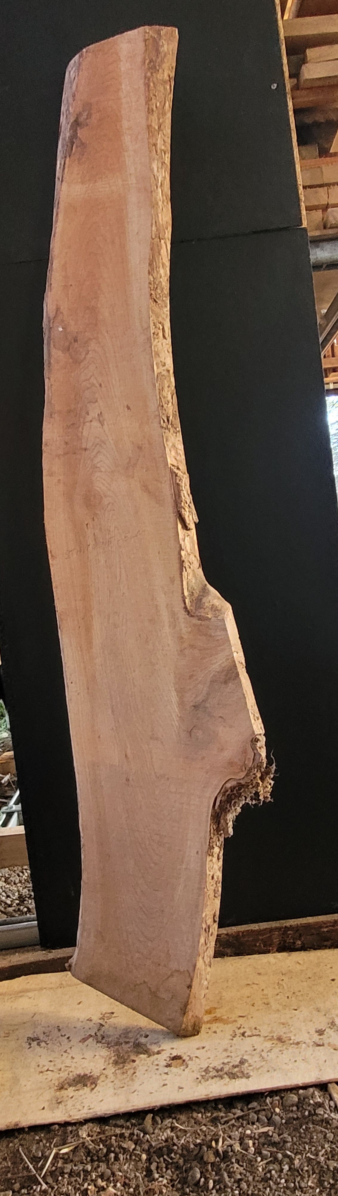 STHW0015 - Air Dried Elm Slab