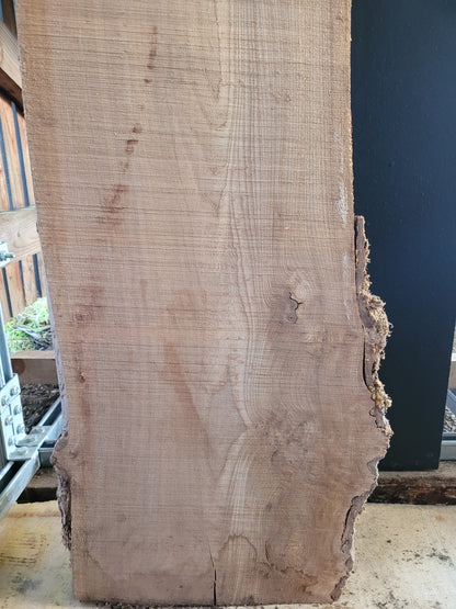 STHW0018 - Air Dried Elm Slab