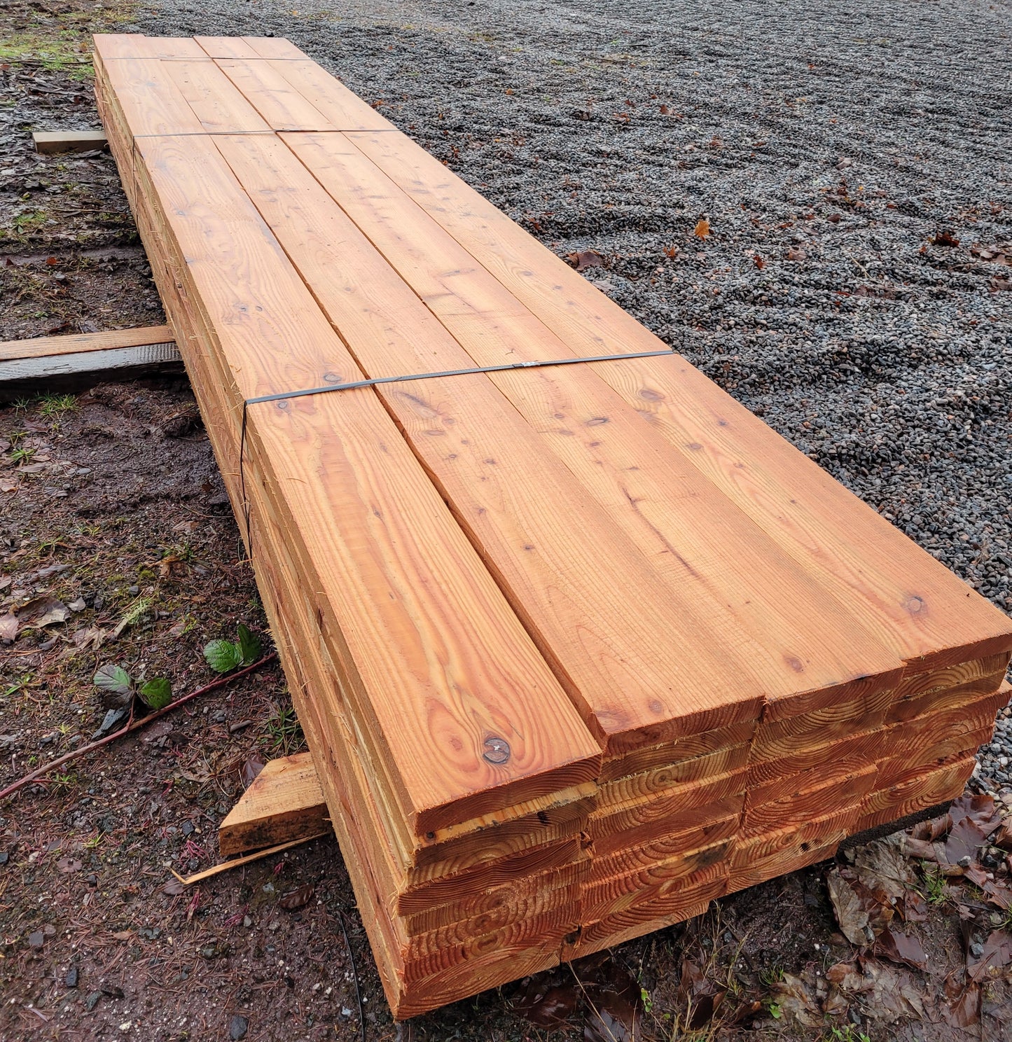 Larch Cladding