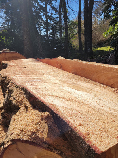 Mobile Sawmilling