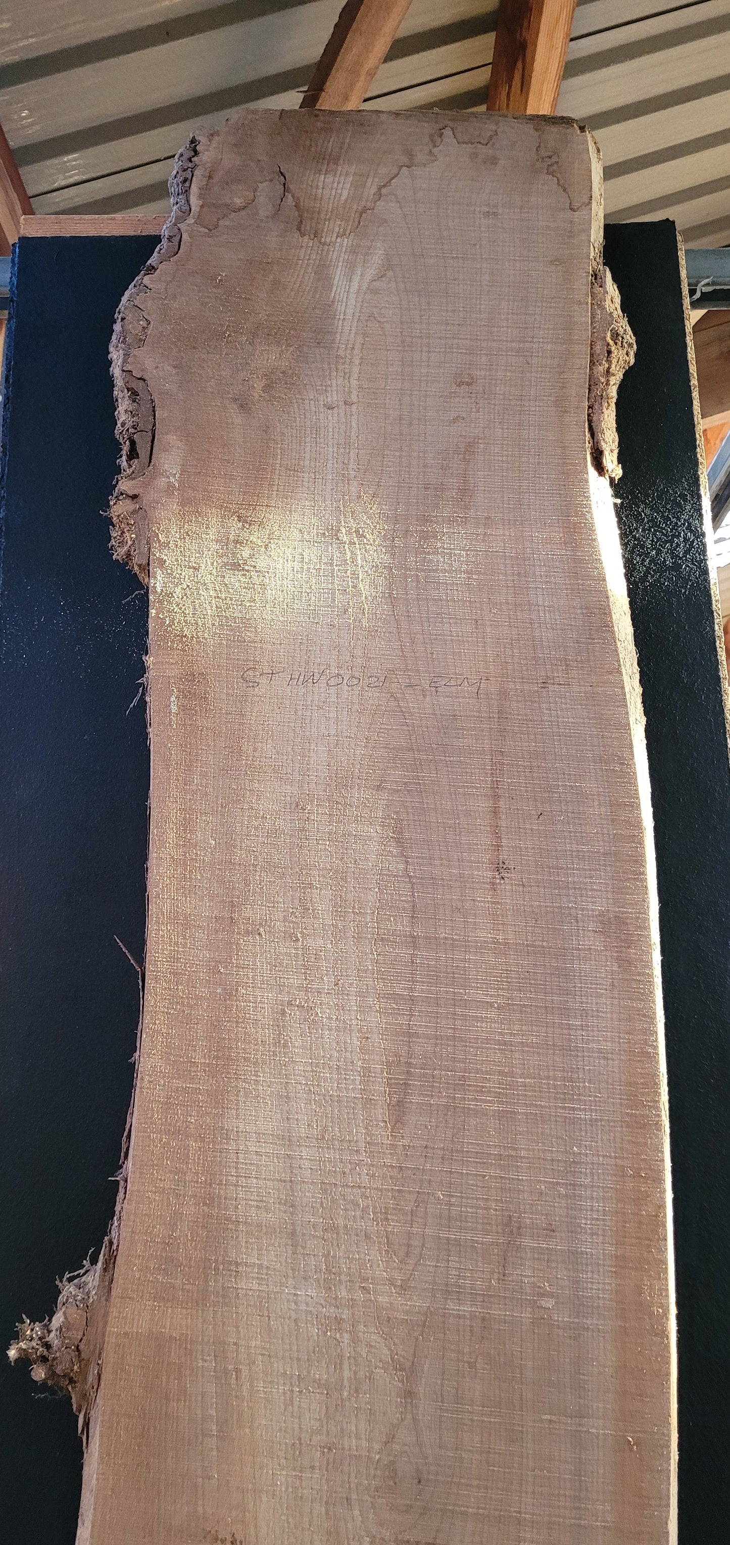 STHW0021 - Air Dried Elm Slab