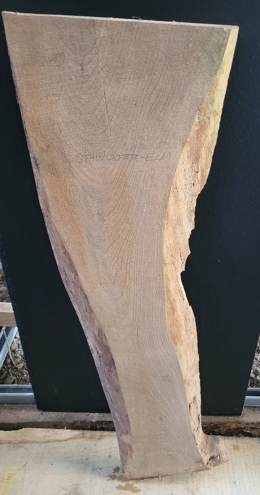 STHW0022 - Air Dried Elm Slab