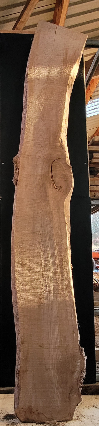 STHW0020 - Air Dried Elm Slab