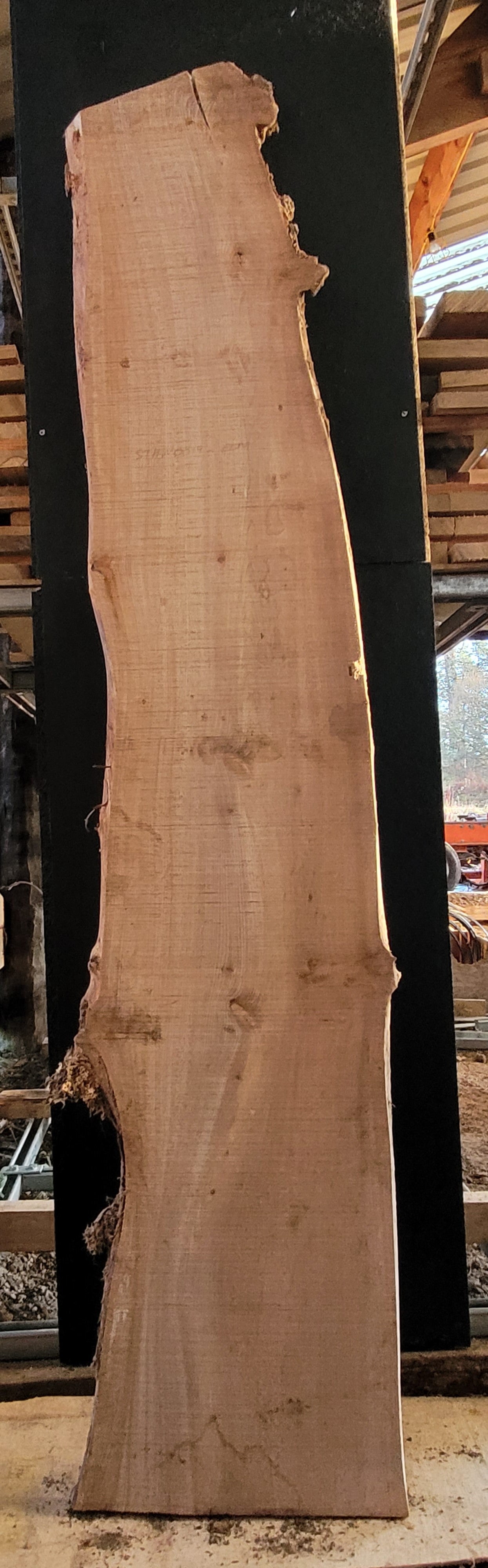 STHW0019 - Air Dried Elm Slab