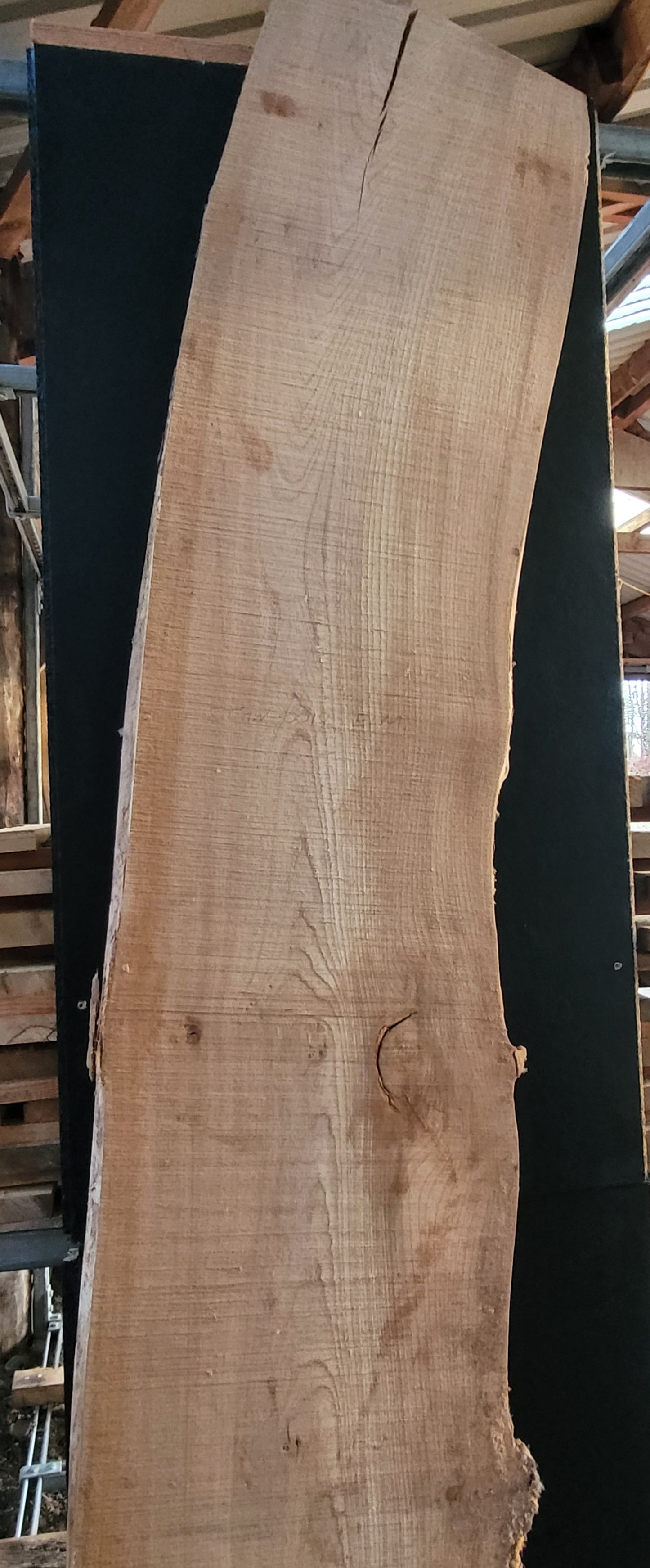 STHW0018 - Air Dried Elm Slab